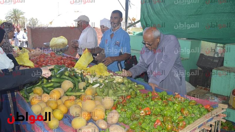 اسعار الخضروات 