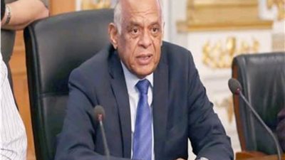 محافظ الغربية يستقبل رئيس مجلس النواب