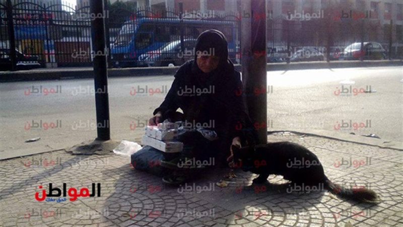 وفاء السدة الستينية