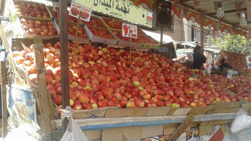 صورة من الشارع