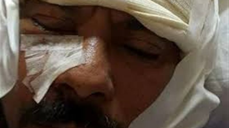 المواطن