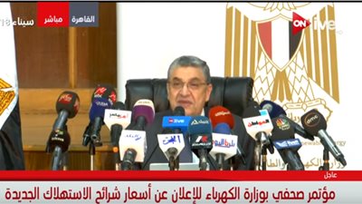 فيديو| وزير الكهرباء: تعاقدنا لإنشاء أكبر محطة طاقة شمسية بقدرة 1465 ميجا وات