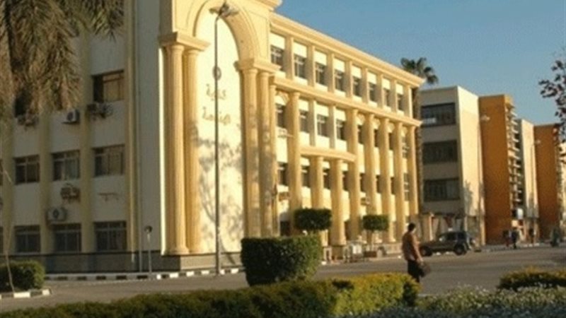 جامعة المنصورة