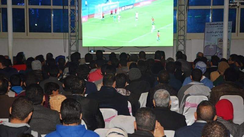 المواطن