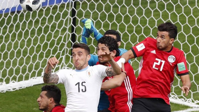محمد الشناوي