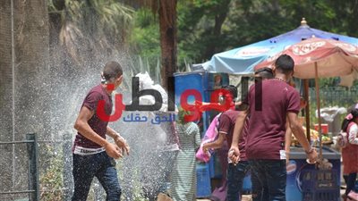 فيديو| الفيل لزوار حديقة الحيوان: 