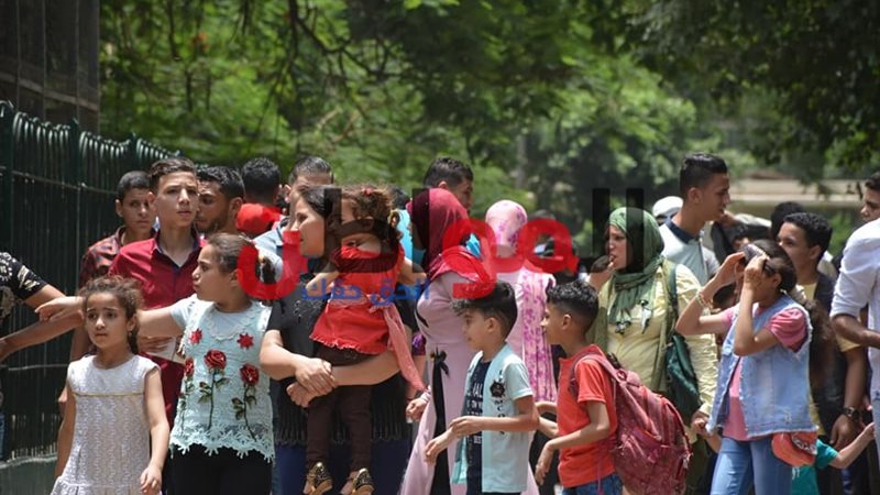 صورة من حديقة الحيوان