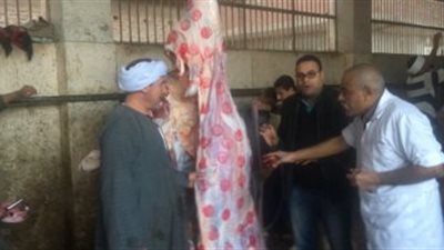 انطلاق مشروع تطوير المجازر بمشاركة التنمية المحلية  
