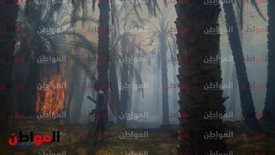 صور| قوات الإطفاء تواصل عمليات الإطفاء لحريق 