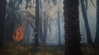 التحرك السريع أنقذ 20 بقرة من النفوق وإخماد حريق القلعة في الوادي الجديد