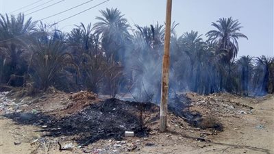 صور| إخماد حريق درب الطيارة بواحة الخارجة في الوادي الجديد
