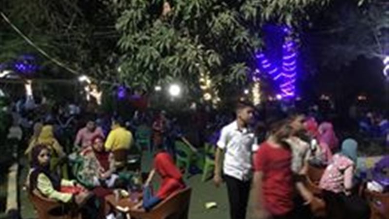 المواطن