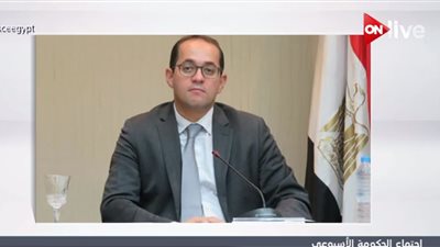 فيديو| نائب وزير المالية : زيادة العلاوات تكلف الدولة 22 مليار جنيه  