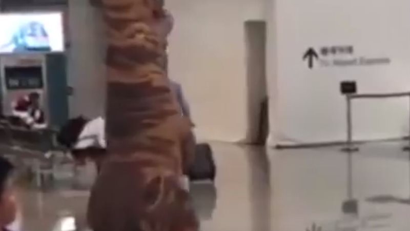 شاهد| رجل يستقبل