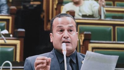 النائب محمد عمارة: محافظ البحيرة لم يقدم شيئًا ملموسًا.. وأناشد بإقالته