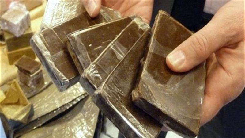 مخدر الحشيش