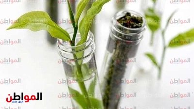 مختبر يورو فينس: شاي نيوباي يحتوي علي كميات قليلة من الفلورايد لكل كوب