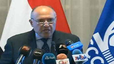 فيديو|