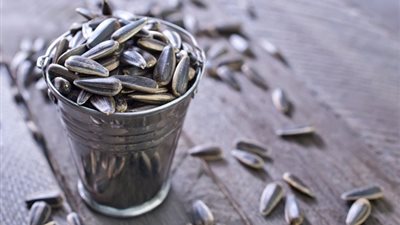 بذور عباد الشمس آمنة لمن يعانون من الحساسية