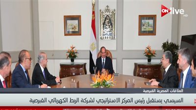 فيديو| الرئيس السيسي: مصر مؤهلة لتنفيذ مشروعات الربط الكهربائي 