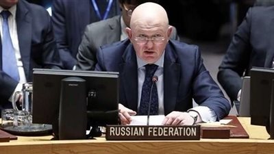 مندوب روسيا لدي مجلس الأمن: هناك تحريض للجماعات المسلحة لشن هجمات بجنوب سوريا