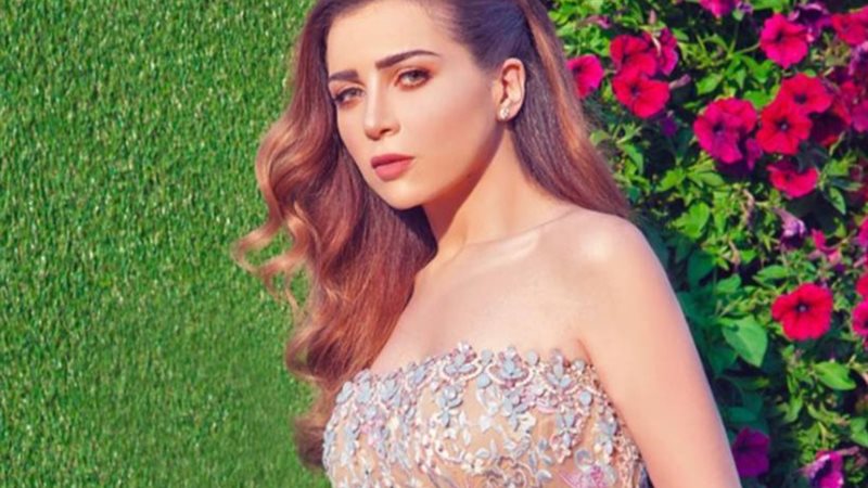مي عز الدين