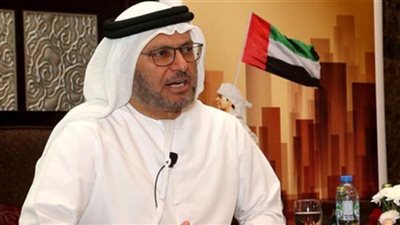 وزير الشئون الخارجية الإماراتي: قضية قطر 