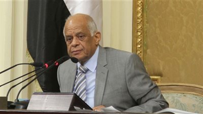 علي عبدالعال يشارك الجالية المصرية في ألمانيا بذكرى 30 يونيو