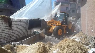 أمن الدقهلية يقود حملات مكبرة لإزالة تعديات الأراضي الزراعية بـ طلخا
