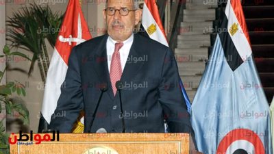 البرادعي .. هرب إلى تويتر عبر النمسا فأراح مصر من وجوده
