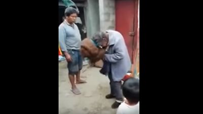 عجوز صينية تثير السوشيال ميديا بـ 