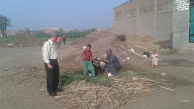 رئيس مركز سمسطا يتابع حالات الإصابة بـ الجلد العقدي بالقرى 