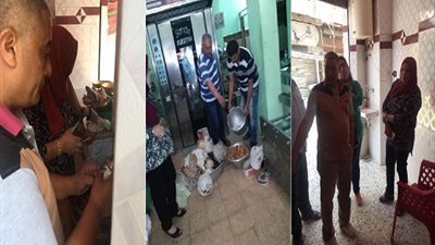 صحة الدقهلية: المرور على 295 منشأة وإعدام 2659 كيلو أغذية فاسدة وتحرير 180 محضر بـ