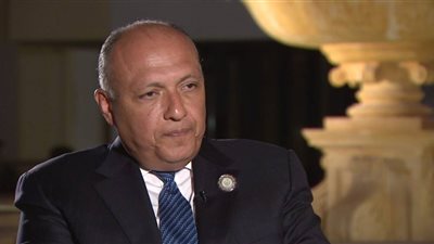شكري: العملية الشاملة في سيناء للدفاع عن العالم وليس مصر فقط