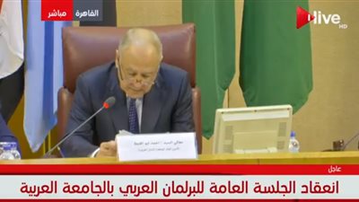فيديو| أبو الغيط  للبرلمان العربي: أنتم صوت الشعوب المعبر عن همومها وطموحاتها 