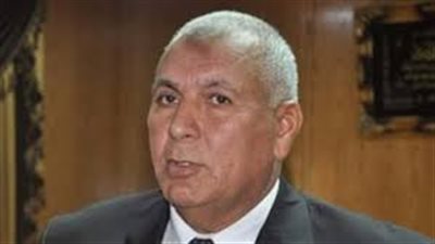 محافظة الوادي الجديد تلزم قاعات الأفراح بمواعيد محددة