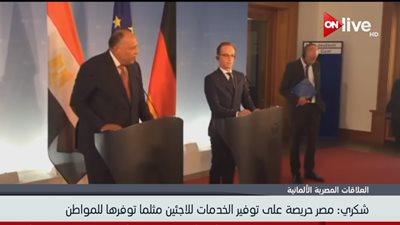 فيديو| وزير الخارجية: مصر تحتضن 5 مليون لاجئ  من مختلف الجنسيات 