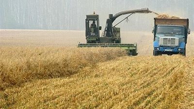 توقعات حكومية بارتفاع صدارات روسيا من الحبوب إلى 45 مليون طن