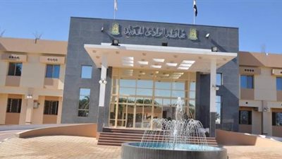 الوادي الجديد تشارك بمؤتمر التميز الحكومي 