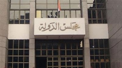 اليوم.. نظر شطب 7 منظمات حقوقية هاجمت مشيرة خطاب