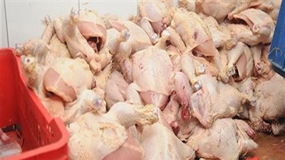 ضبط 367 كيلو دواجن فاسدة بـ مدينة العاشر من رمضان