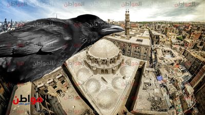 محافظة القاهرة في عيدها القومي .. بناها غراب أسود قبل الحلواني