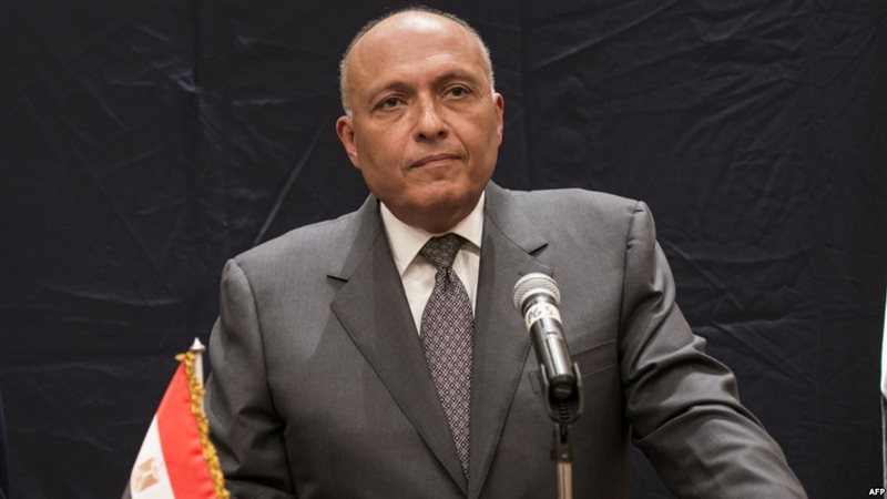  وزير الخارجية سامح