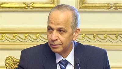 بتكلفة 31 مليون جنيه.. محافظ القليوبية: 201 مستفيد من مشروع إحياء البتلو