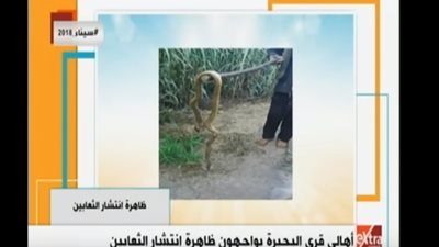 فيديو| الثعابين تتسبب في وفاة شخصين وإصابة 4 آخرين في البحيرة