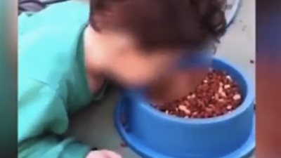 فيديو| أم جبروت تجبر رضيعها على تناول طعام الكلاب من طبق الحيوانات