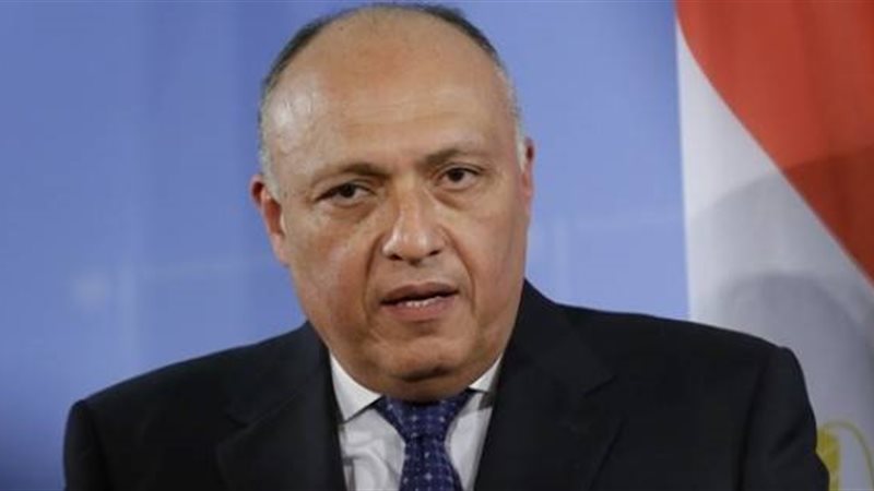 سامح  شكري وزير الخارجية