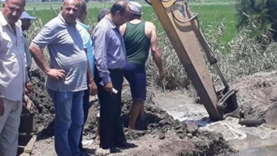 حملة لإزالة مزرعة سمكية مخالفة بـ