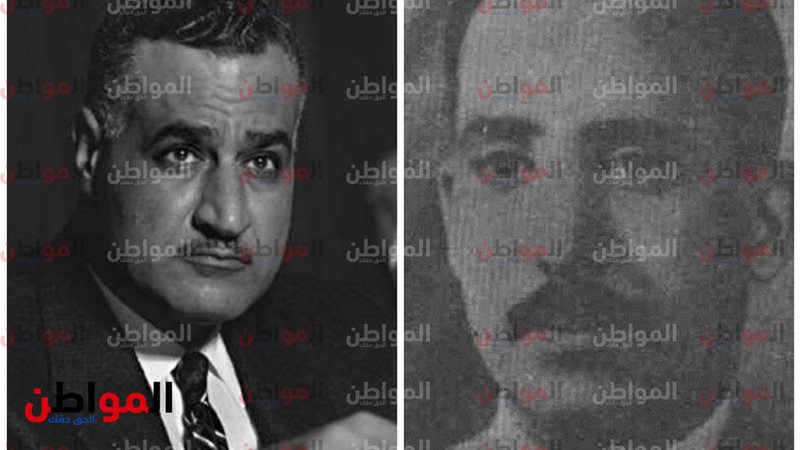 المواطن