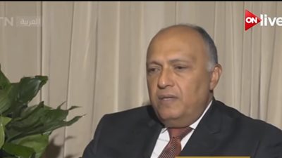 فيديو.. سامح شكري لـ 